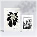Set Di 6 Stampe Stampe Artistiche In Stile Schizzo Esotico Con Inchiostro Nero Per L'interior Design A3 & A4 Senza Cornice - Foto miniatura 2