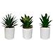 Set Di 3 Piante Artificiali, Vaso Bianco, Misura 16 Cm - Foto miniatura 1