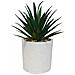 Set Di 3 Piante Artificiali, Vaso Bianco, Misura 16 Cm - Foto miniatura 3