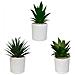 Set Di 3 Piante Artificiali, Vaso Bianco, Misura 16 Cm - Foto miniatura 4