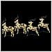 Renne LED con 80 LED 4 pcs Multicolore PET - Foto miniatura 3