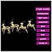 Renne LED con 80 LED 4 pcs Multicolore PET - Foto miniatura 7