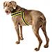 Pettorina Per Cani Agila Ergocomfort Fluo 7 Giallo - Foto miniatura 4