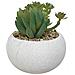 Set Di 3 Piante Artificiali, Vaso Bianco, Misura 11 Cm - Foto miniatura 2