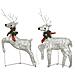 Renne Di Natale 2 Pz Oro 40 Led - Foto miniatura 1