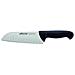 Serie 2900 - Coltello giapponese (Santoku) - Lama Acciaio Inossidabile Nitrum 180 Mm - Manico Polipropilene Colore Nero - Foto miniatura 1