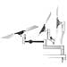 Monitor Mount Arm for 1 Monitor, Table Clamp 508323 - Foto miniatura 2