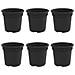 Vaso Rotondo per Fiori 6 pcs Nero Ø 15 x 12 cm Plastica - Foto miniatura 1