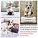 Giocattolo Interattivo Per Cani Con Osso Di Cane Wickedbone - Foto miniatura 2