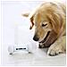 Giocattolo Interattivo Per Cani Con Osso Di Cane Wickedbone - Foto miniatura 3