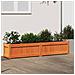 Fioriera Giardino Marrone Cera 150x31x31 Cm Legno Massello Pino - Foto miniatura 1