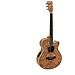 Sp-100 Chitarra Elettro Acustica Colore Legno Naturale 6 Corde - Foto miniatura 1