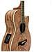 Sp-100 Chitarra Elettro Acustica Colore Legno Naturale 6 Corde - Foto miniatura 4