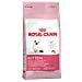 Cibo per Gatti Kitten 36 2 kg - Foto miniatura 2