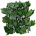 Traliccio Foglie Vite Artificiale Espandibile Verde 180x20 Cm - Foto miniatura 2
