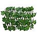 Traliccio Foglie Vite Artificiale Espandibile Verde 180x20 Cm - Foto miniatura 6