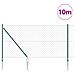 Recinzione a maglie con punte 10 x 1 m Acciaio rivestito in PVC - Foto miniatura 3