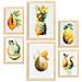 Set Di 6 Stampe Poster Di Frutta Tropicale, Verdura E Cibi Sani In Acquerello Su Bianco Puro A3 & A4 Telaio In Legno Chiaro - Foto miniatura 1