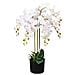 Orchidea Artificiale Con Vaso 75 Cm Bianca - Foto miniatura 1