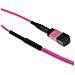 DC5020 cavo InfiniBand e in fibra ottica 25 m MPO /MTP Viola - Foto miniatura 1