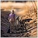 LUNA E THESTRAL - Foto miniatura 2
