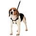Imbracatura Per Cani 30-42 Cm Taglia M - Foto miniatura 1