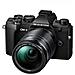 OM-5 4/3" MILC 20 MP Live MOS 5184 x 3888 Pixel Nero - Foto miniatura 2