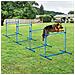 Set di 4 Ostacoli Agility Dog per Addestramento Cani ad Altezza Regolabile con Borsa da Trasporto Inclusa, 99x65x94cm, Blu - Foto miniatura 2