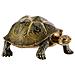 Safari Ltd Wild Safari North American Wildlife A Tartaruga Del Deserto A Modello Di Statuetta Giocattolo Realistico Dipinto A Mano A Costruzione Di Qualita Con Materiali Sicuri E Privi Di Bpa A Dai 3 Anni In Su - Foto miniatura 1