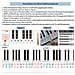 Qt-0302 Adesivi Per Tastiera Di Pianoforte - Accessorio Per Pianoforte Colorato - Foto miniatura 3