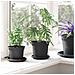 Vassoio Rotondo per Fiori 24 pcs Nero Ø 14 x 2 cm Plastica - Foto miniatura 4