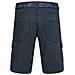 Pantaloni Corti Regular Ryker Tz Uomo - Clear Grey 30 / It 46 - Foto miniatura 1