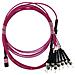 Sfp6143fu3mkb Cavo A Fibre Ottiche 3 M Mtp /upc 4x St /pc Om4 Rosa - Foto miniatura 1