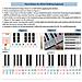 Qt005 Adesivi Per Tastiera Di Pianoforte - Decalcomanie Colorate Per Tastiera - Foto miniatura 2