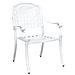 Set Bistro da Giardino 3 Pezzi in Alluminio Bianco - Foto miniatura 4
