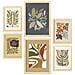 Set Di 6 Stampe Stampe Di Piante In Cornici Decorative Della Collezione Di Stampanti Etniche Per La Stampa Artistica Da Parete Della Tua Casa A3 & A4 Telaio In Legno Chiaro - Foto miniatura 1