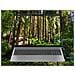 OmniBook 5 AI 16-af1026nl Intel Core Ultra 5 225U Computer portatile 40,6 cm (16") 2K 16 GB LPDDR5x-SDRAM 512 GB SSD Wi-Fi 6 (802.11ax) Windows 11 Home AI PC Argento - Foto miniatura 15