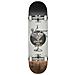 G1 Excess 8"" Complete Skateboard White /brown - Foto miniatura 1