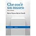 Maria Vittoria Marini Clarelli - Che Cos'è Un Museo. Nuova Ediz. - Foto miniatura 1