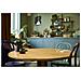Ideas Lontre marine - Foto miniatura 37