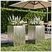Vaso da giardino 2 pz Argento 50 x 50 x 75 cm Acciaio Inox - Foto miniatura 2