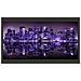 Fotomurale Xxl - American Violet 550x270 Cm - Foto miniatura 3