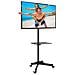 Ergosolid Falco 24 - Supporto Tv Da Pavimento, Con Ruote Per Schermi Lcd Led E Tv Curvi Da 32""-55"" Con Portata Max. 25 Kg - Foto miniatura 1