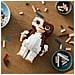 Ideas Gremlins™: Gizmo - Foto miniatura 4