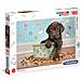 Puzzle 180 Pz - Cucciolo - Foto miniatura 1
