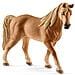Tennessee Walking Horse Mare - Foto miniatura 2