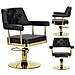 Poltrona Da Parrucchiere Ezra Idarulica Girevole Per Il Salone Di Parrucchiere Sedia Da Parrucchiere - Foto miniatura 1