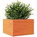 Fioriera Giardino Marrone Cera 70x70x46 Cm Legno Massello Pino - Foto miniatura 7
