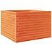 Fioriera Giardino Marrone Cera 70x70x46 Cm Legno Massello Pino - Foto miniatura 1