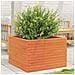 Fioriera Giardino Marrone Cera 70x70x46 Cm Legno Massello Pino - Foto miniatura 9